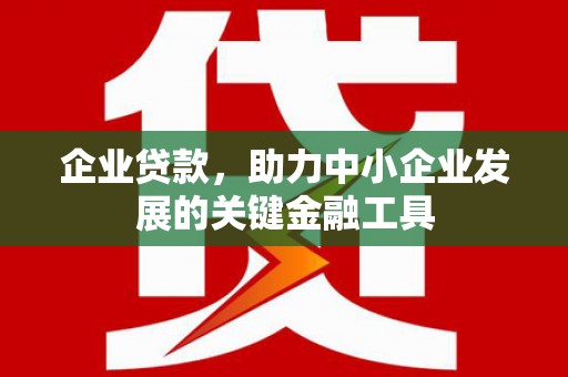 东城企业贷款，助力中小企业发展的关键金融工具