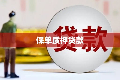 东城保单质押贷款