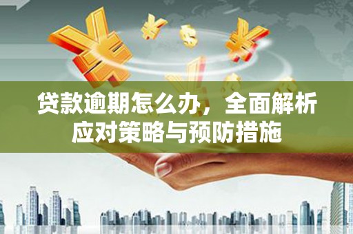 东城贷款逾期怎么办，全面解析应对策略与预防措施