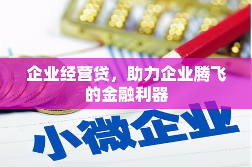 东城企业经营贷，助力企业腾飞的金融利器
