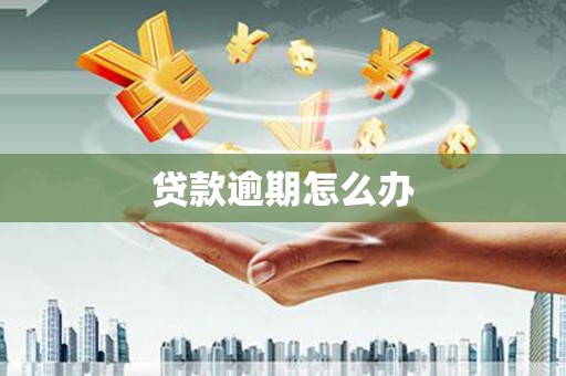 东城贷款逾期怎么办