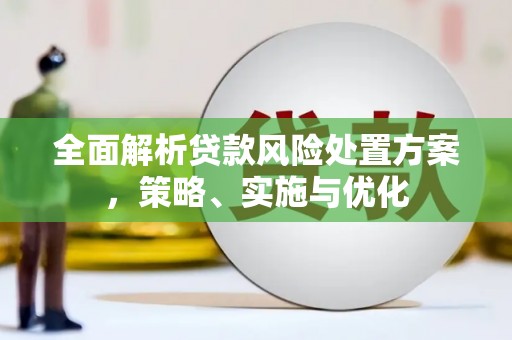 东城全面解析贷款风险处置方案，策略、实施与优化