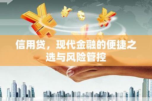 东城信用贷，现代金融的便捷之选与风险管控