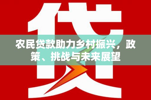 东城农民贷款助力乡村振兴，政策、挑战与未来展望