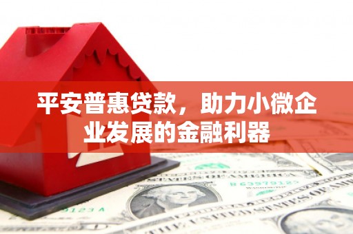 东城平安普惠贷款，助力小微企业发展的金融利器
