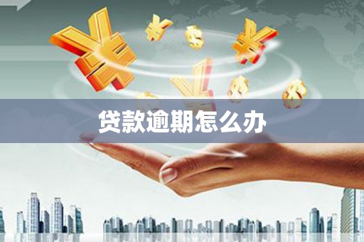 东城贷款逾期怎么办