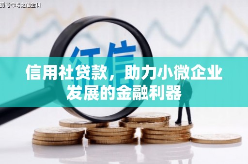东城信用社贷款，助力小微企业发展的金融利器
