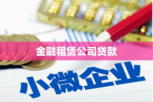 东城金融租赁公司贷款
