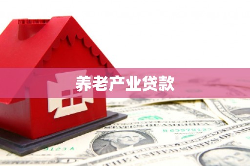 东城养老产业贷款