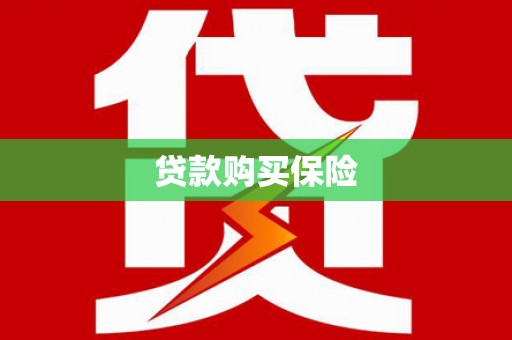 东城贷款购买保险