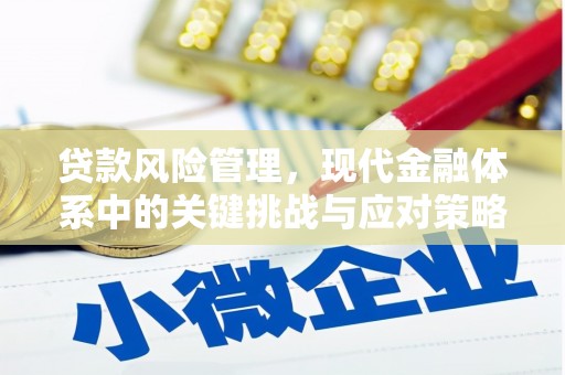 东城贷款风险管理，现代金融体系中的关键挑战与应对策略