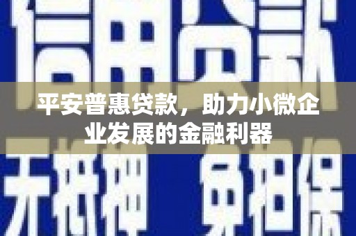东城平安普惠贷款，助力小微企业发展的金融利器